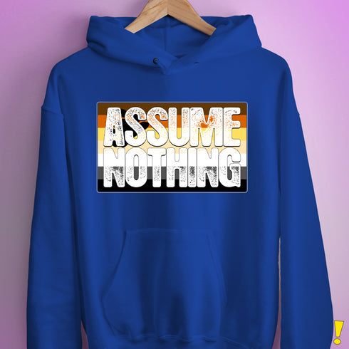 Assume Nothing Bear Pride Flag Hoodie - Royal Blue